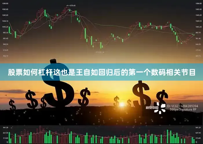 股票如何杠杆这也是王自如回归后的第一个数码相关节目
