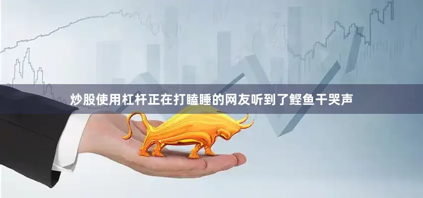 炒股使用杠杆正在打瞌睡的网友听到了鲣鱼干哭声