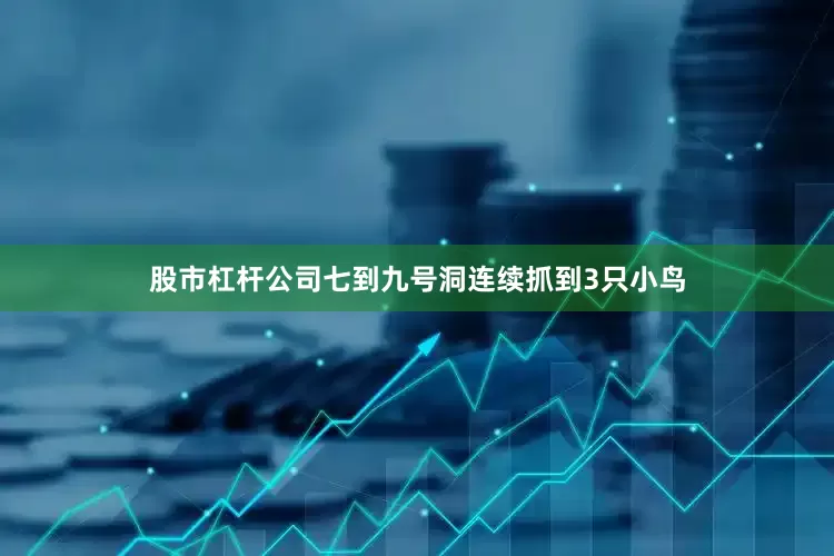 股市杠杆公司七到九号洞连续抓到3只小鸟